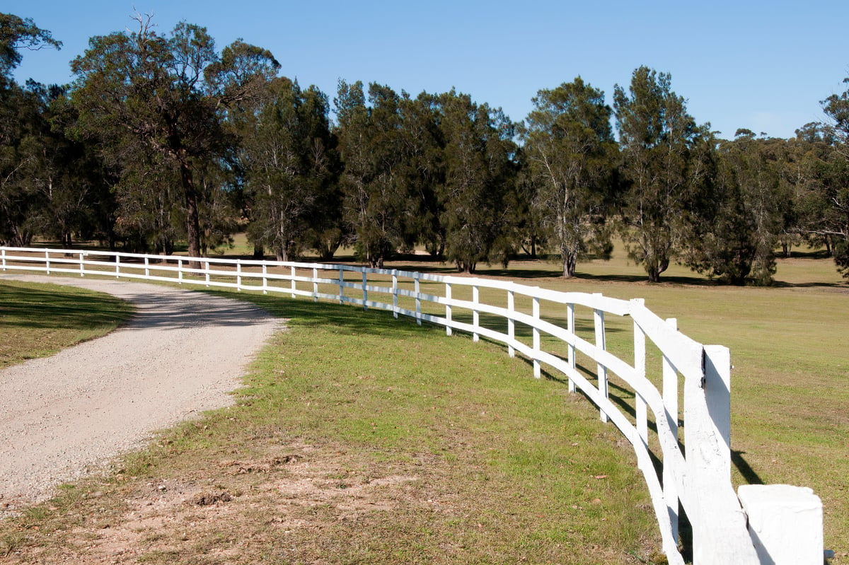 Springtime scene around Mogo, Australia