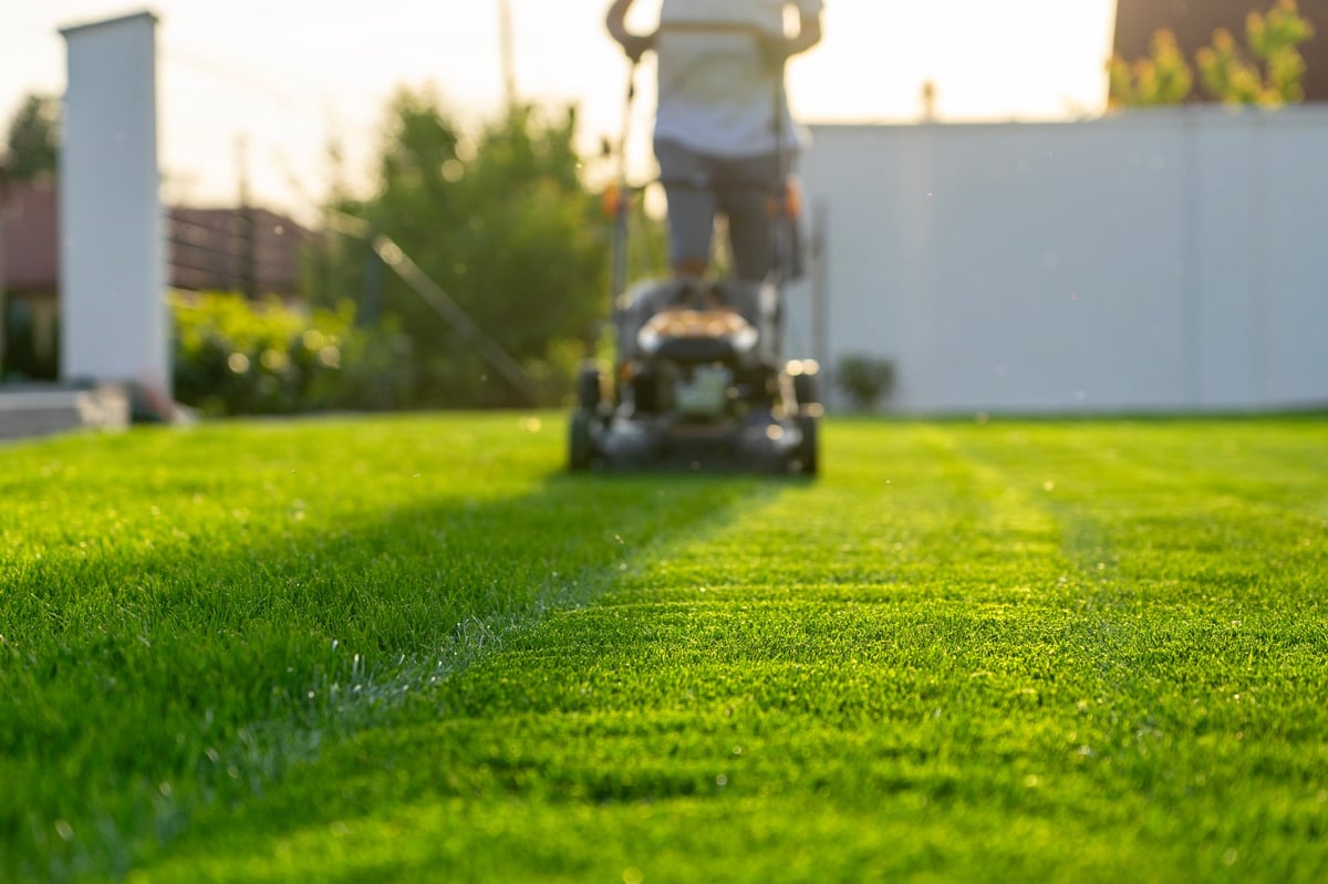 A lawn care worker mowing a green home lawn