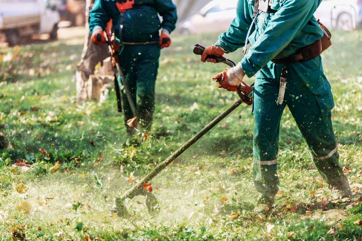 Two landscaping workers trimming grass in a sunny park