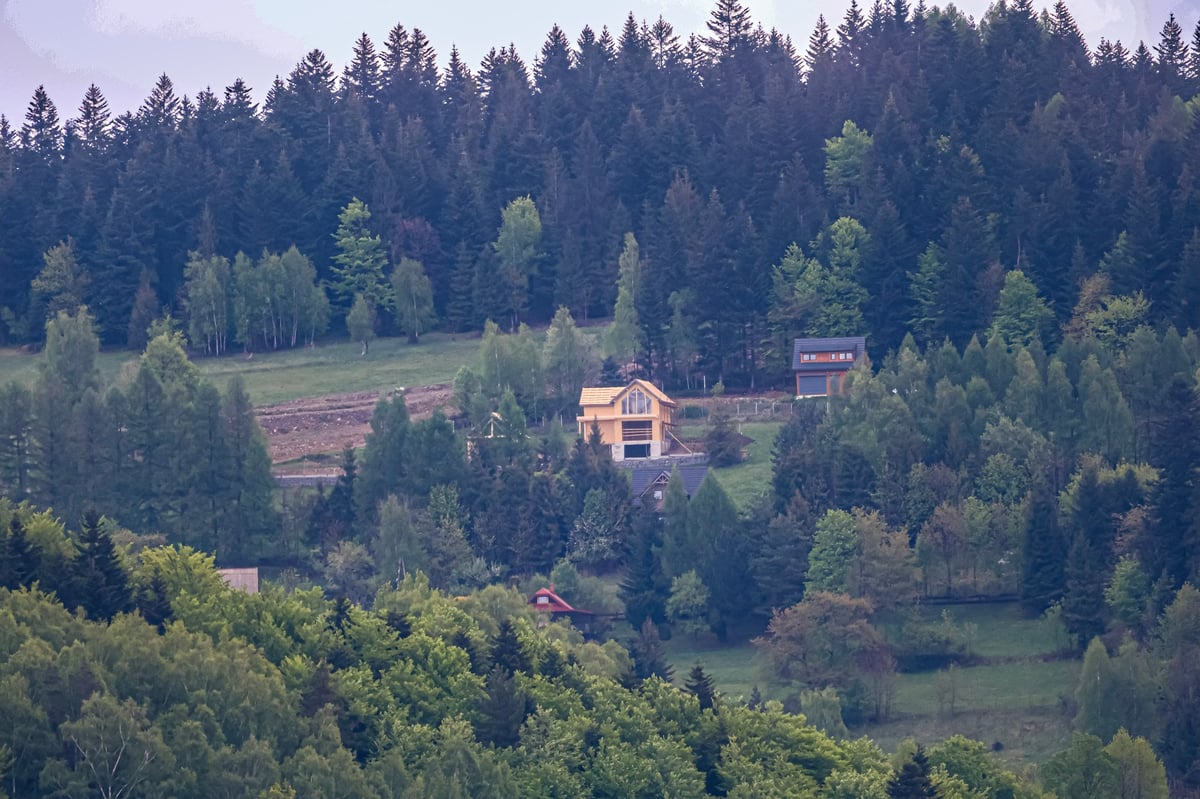 Modern homes scattered across a steep, wooded hillside near Cougar Mountain