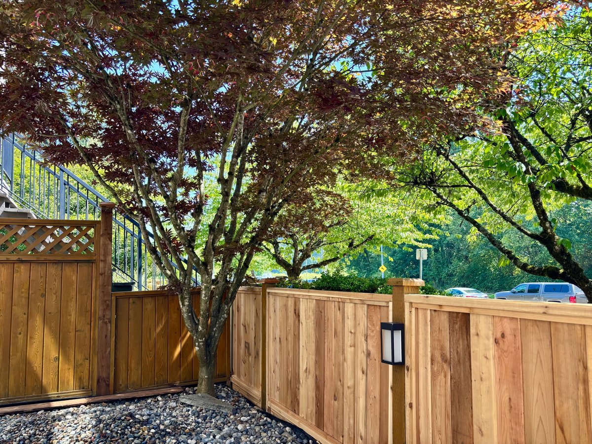 A modern cedar privacy fence with post lights bordering a tidy backyard with a red Japanese maple