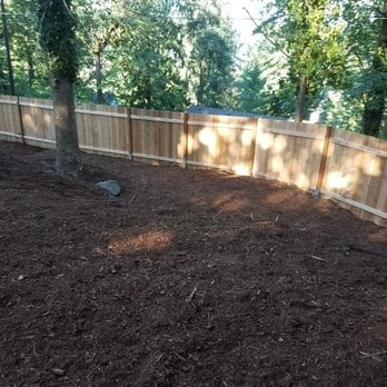 Newly installed wooden privacy fence in a cleared backyard surrounded by tall trees