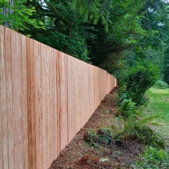 Wooden fence running along a yard with evergreen trees and mulch ground cover in the background